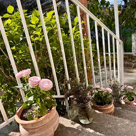 Ferienhaus Maison Traditionnelle Avec Vues Sur St Michel Murato
