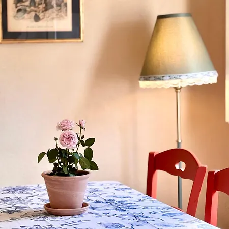 Maison Traditionnelle Avec Vues Sur St Michel Murato