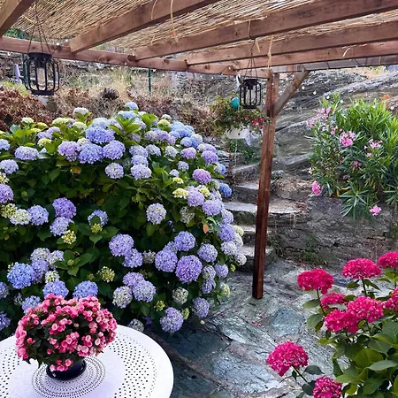 Maison Traditionnelle Avec Vues Sur St Michel Murato