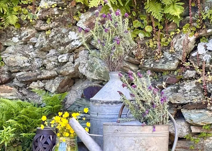 Maison Traditionnelle Avec Vues Sur St Michel * Murato