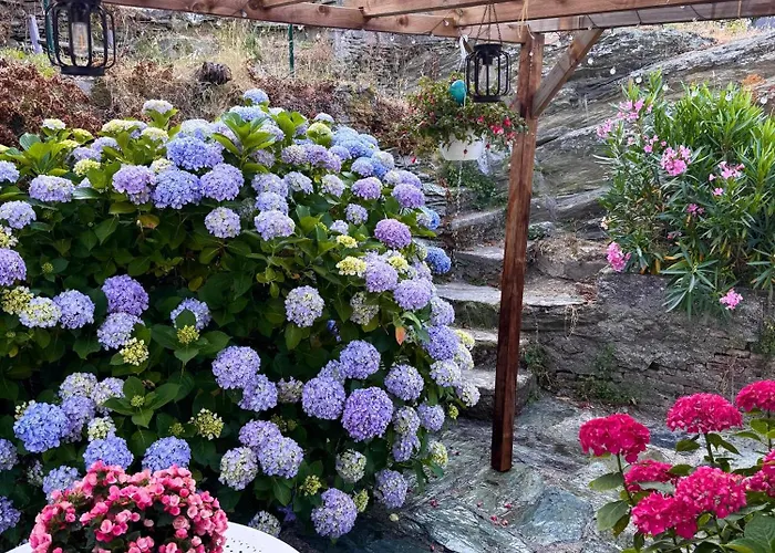 Maison Traditionnelle Avec Vues Sur St Michel Murato