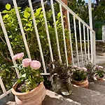 度假居 Maison Traditionnelle Avec Vues Sur St Michel Murato