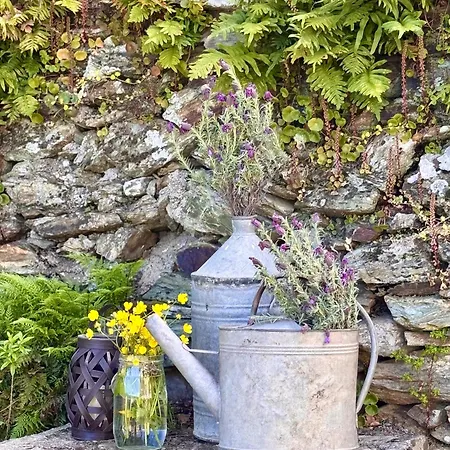 Maison Traditionnelle Avec Vues Sur St Michel * Murato