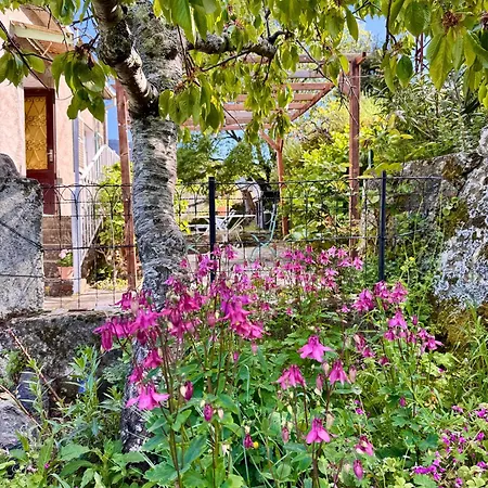 Maison Traditionnelle Avec Vues Sur St Michel Murato
