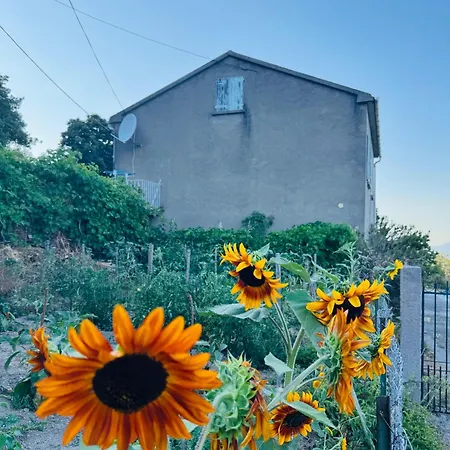 Maison Traditionnelle Avec Vues Sur St Michel * Murato
