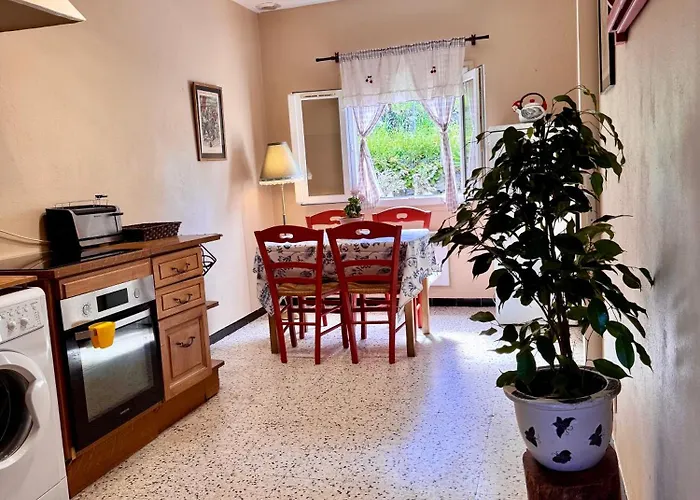 Maison Traditionnelle Avec Vues Sur St Michel * Murato