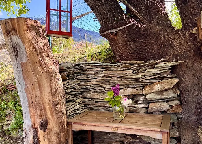 Maison Traditionnelle Avec Vues Sur St Michel Murato