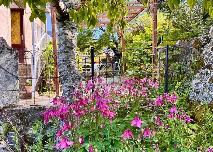 Maison Traditionnelle Avec Vues Sur St Michel Murato